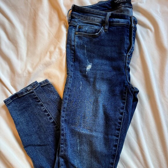 Liverpool Denim - Liverpool Los Angeles Women's Distressed Skinny Jeans Size 6/28